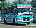 Bus Thumbnail