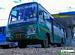 Bus Thumbnail
