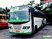 Bus Thumbnail