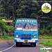 Bus Thumbnail