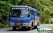 Bus Thumbnail