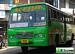 Bus Thumbnail