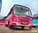 Bus Thumbnail