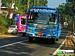 Bus Thumbnail