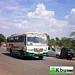 Bus Thumbnail